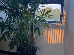 -明珠湖天鹅苑·农家菜馆