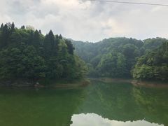 -龙川湾千岛湖国际垂钓中心