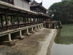 -温江公园