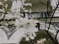 -湖南省立第一师范学校旧址