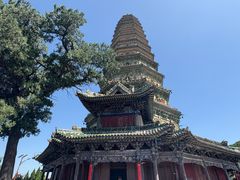 -大槐树寻根祭祖园