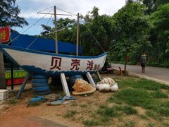 -贝壳沙滩