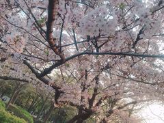 -帝京日语(春熙路旗舰校区)