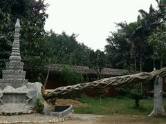 -瑞丽独树成林风景区