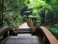 -凤栖山