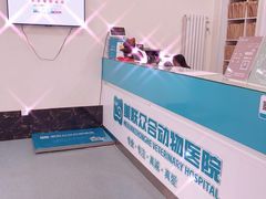-美联众合爱康动物医院•复杂内科•肿瘤科•牙科•腔镜诊疗中心