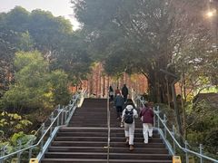 -福道