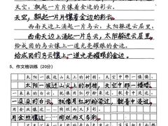 -缤纷鸟美术书法(建大校区)