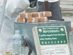 -奈良公园
