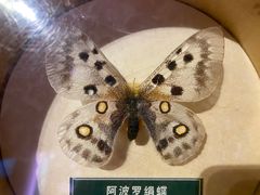 -陕西自然博物馆