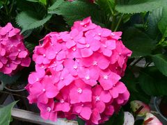 android_upload_pic-祥源·阜阳生态乐园