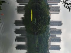 -重庆彩云湖湿地公园