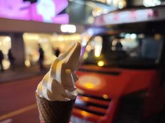 -富豪雪糕车流动点(尖沙咀店)