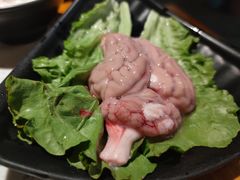 新鲜猪脑花-莽子老火锅(大坪店)