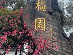-无锡梅园公园