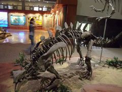 -自贡恐龙博物馆