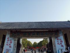 -上海海湾国家森林公园