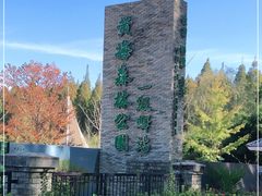 -黄海国家森林公园