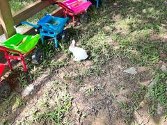 -广州锦绣香江度假别墅