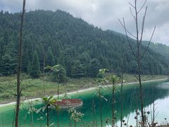 -武陵山森林公园