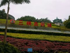 -三峡古玩城(泰古广场店)