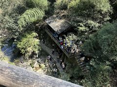 -莫干山风景区