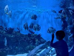 -海合安成都极地海洋公园