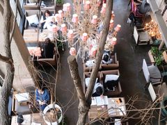 -Maan coffee漫咖啡(1905店)