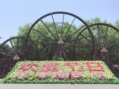-呀路古热带植物园