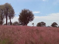 -汉长安城未央宫国家考古遗址公园