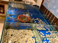 -广州希尔顿逸林酒店-OPEN開·全日制餐厅·海鲜·小火锅·自助餐(东风路店)