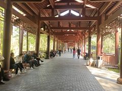 -重庆彩云湖湿地公园