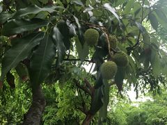 -大天然酒店(军民路店)