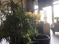 -West10 西拾·西餐厅·创意菜(未来科技城店)