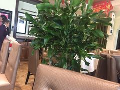 -悦百味·品质川菜(橄榄郡店)