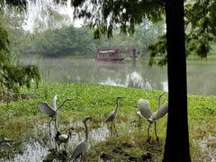 -溱湖国家湿地公园