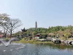 -顺峰山公园