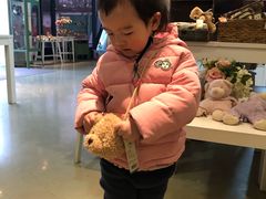 -成都泰迪熊博物馆