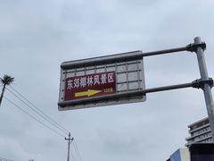 -东郊椰林