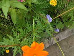 -白鹭湾湿地公园