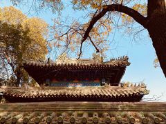 -北京国子监胡同