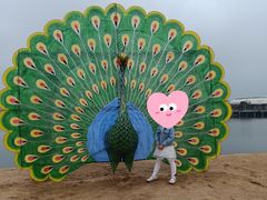 -千龙湖生态旅游度假区