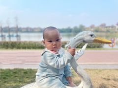 -美的鹭湖森林度假区