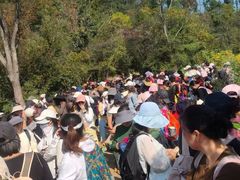 -青龙山国家森林公园