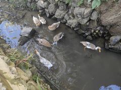 -塔川景区
