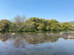 -白马涧龙池景区