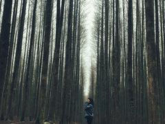 -山王坪喀斯特国家生态公园