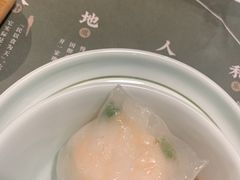 悦满楼虾饺皇-悦满楼·西关名点·湛江名菜(航空综合大厦店)