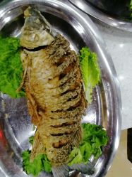 -福康大酒店·宴会厅
