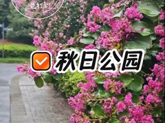 -杭州城北体育公园